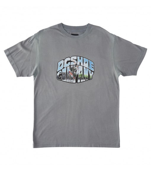 DC Citywide Ss Men's T-Shirt ADYKT03214-KZE0 | DC Shoes Men's T-Shirts | scorer.es