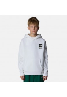 Sudadera Niño/a The North Face Coordinates NF0A89HKFN41 | Sudaderas Niño THE NORTH FACE | scorer.es