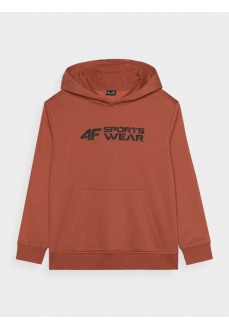 Garçon/fille Sweatshirt 4F 4FJWAW24TSWSM1223-64S