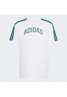 Adidas Men's Colleg Tee JJ3868 | ADIDAS PERFORMANCE Men's T-Shirts | scorer.es