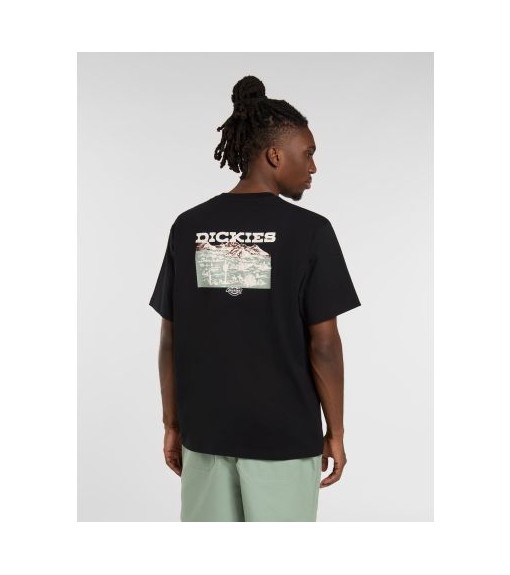 T-shirt Homme Dickies Graphic Tee SS DK0A4Z8VBLK1 | DICKIES T-shirts pour hommes | scorer.es