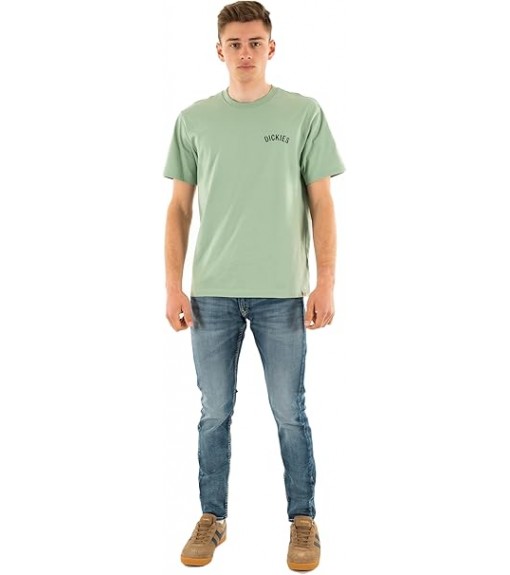 Camiseta Hombre Dickies Snake Ss Tee DK0A4Z99K361 | Camisetas Hombre DICKIES | scorer.es