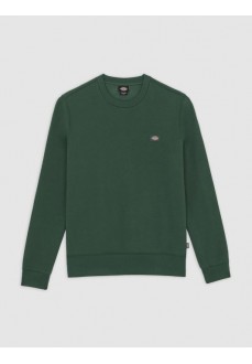 Hommes Sweatshirt Dickies Oakport Sweatshirt Pine DK0A4XCEPIN1 | DICKIES Sweatshirts pour hommes | scorer.es