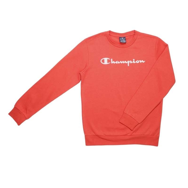 Champion hotsell sweatshirt kids